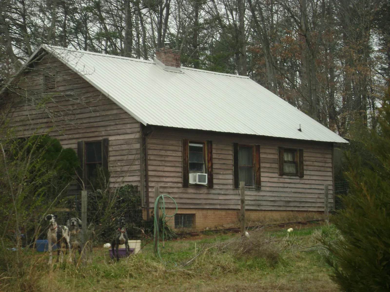 White metal roof on an old wood sided farmhouse, from a Asphalt Shingle Roof Repair job in Northern Cambria